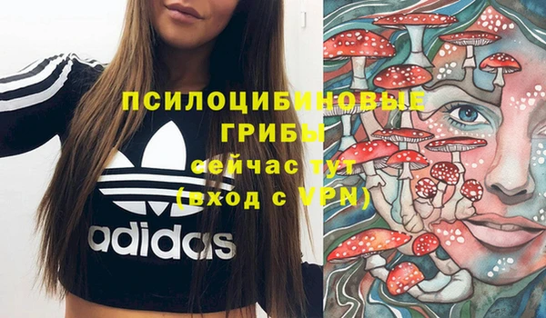 крисы Волоколамск